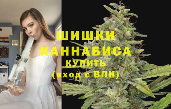 прущие грибы Липки