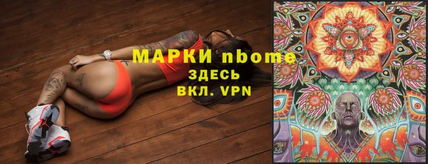стафф Майский