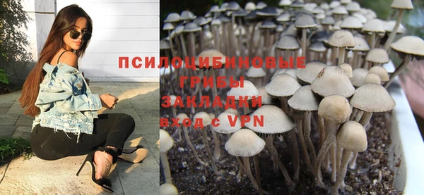 ECSTASY Лиски