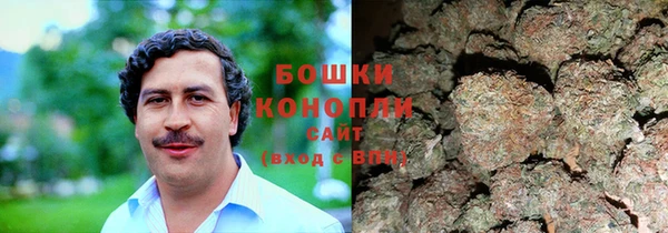 прущие грибы Липки