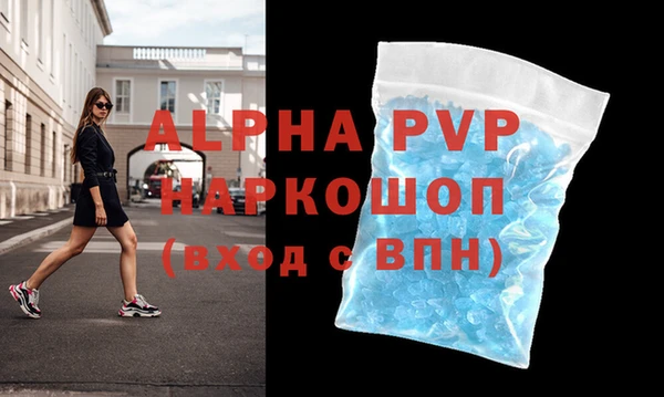 прущие грибы Липки