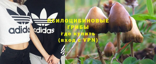 a pvp Магас