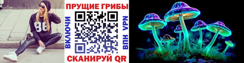 Купить  Купино  Псилоцибиновые грибы мицелий 