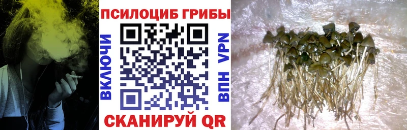 Галлюциногенные грибы ЛСД Купино